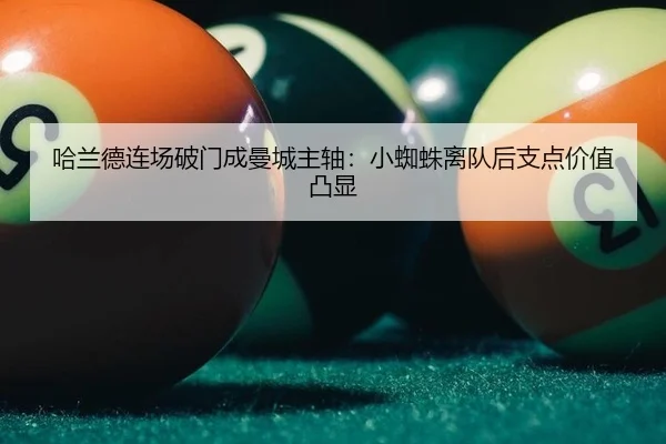 ha-lan-de-lian-chang-po-men-cheng-man-cheng-zhu-zhou-xiao-zhi-zhu-li-dui-hou-zhi-dian-jia-zhi-tu-xian-3-136.jpg